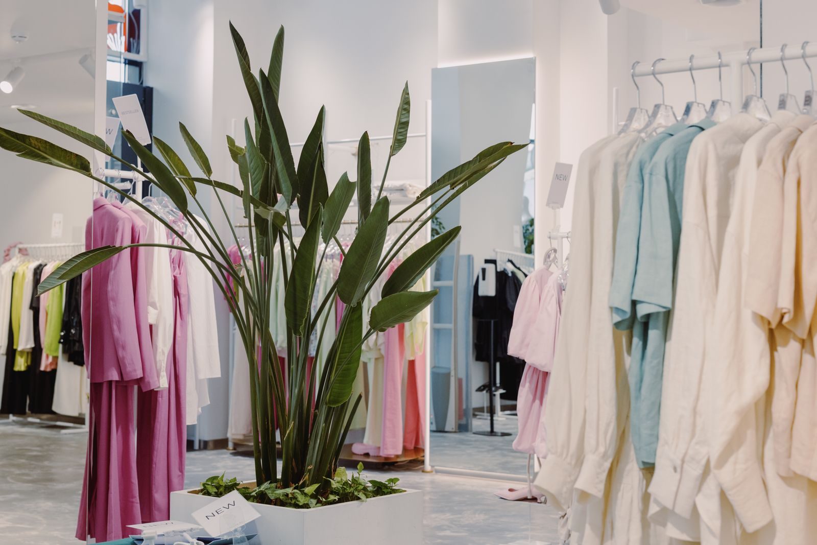 Boutique clara e arejada com roupas em tons pastel e uma planta verde ao centro
