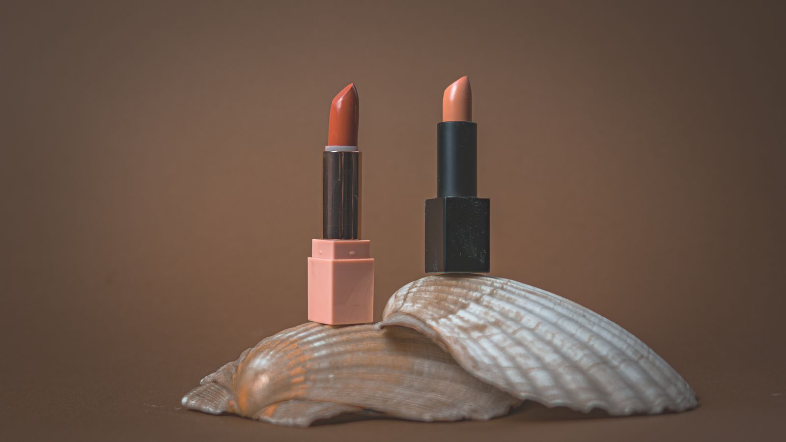 Dois batons elegantes sobre uma concha com fundo minimalista em tons terrosos