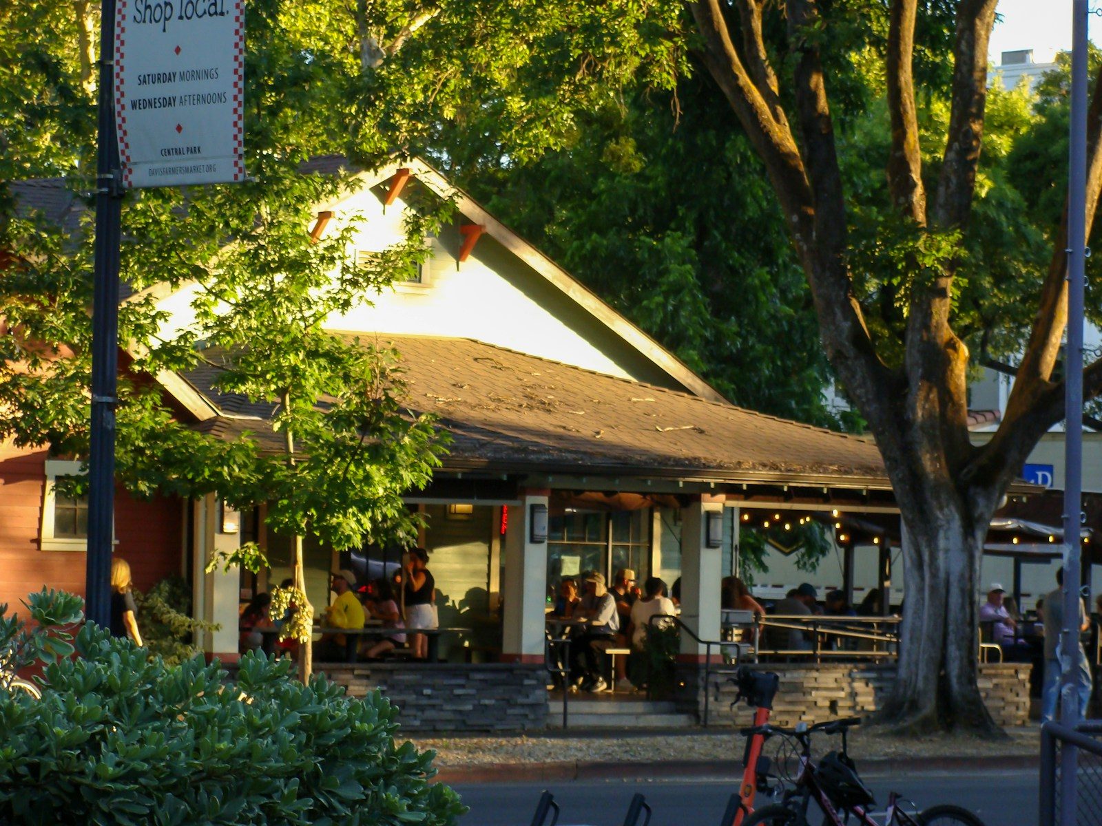 Pessoas aproveitando o pátio de um café ao ar livre sob árvores