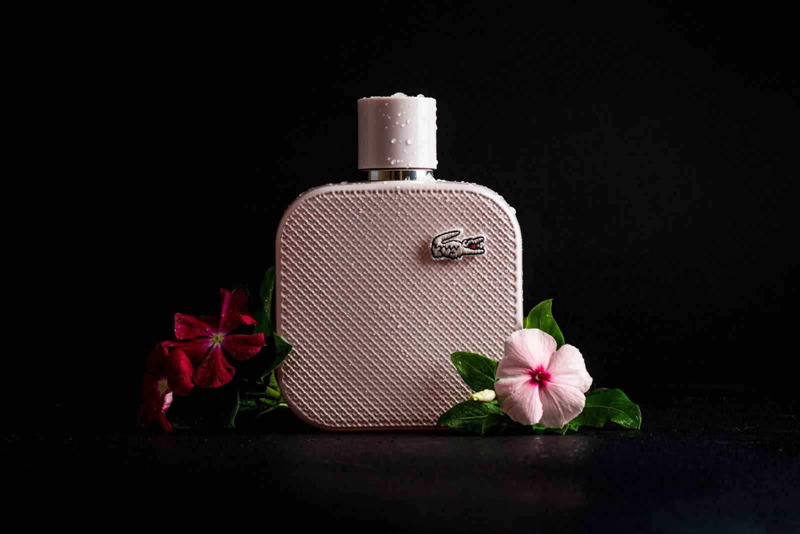 Frasco de perfume cercado por flores vibrantes sobre fundo escuro