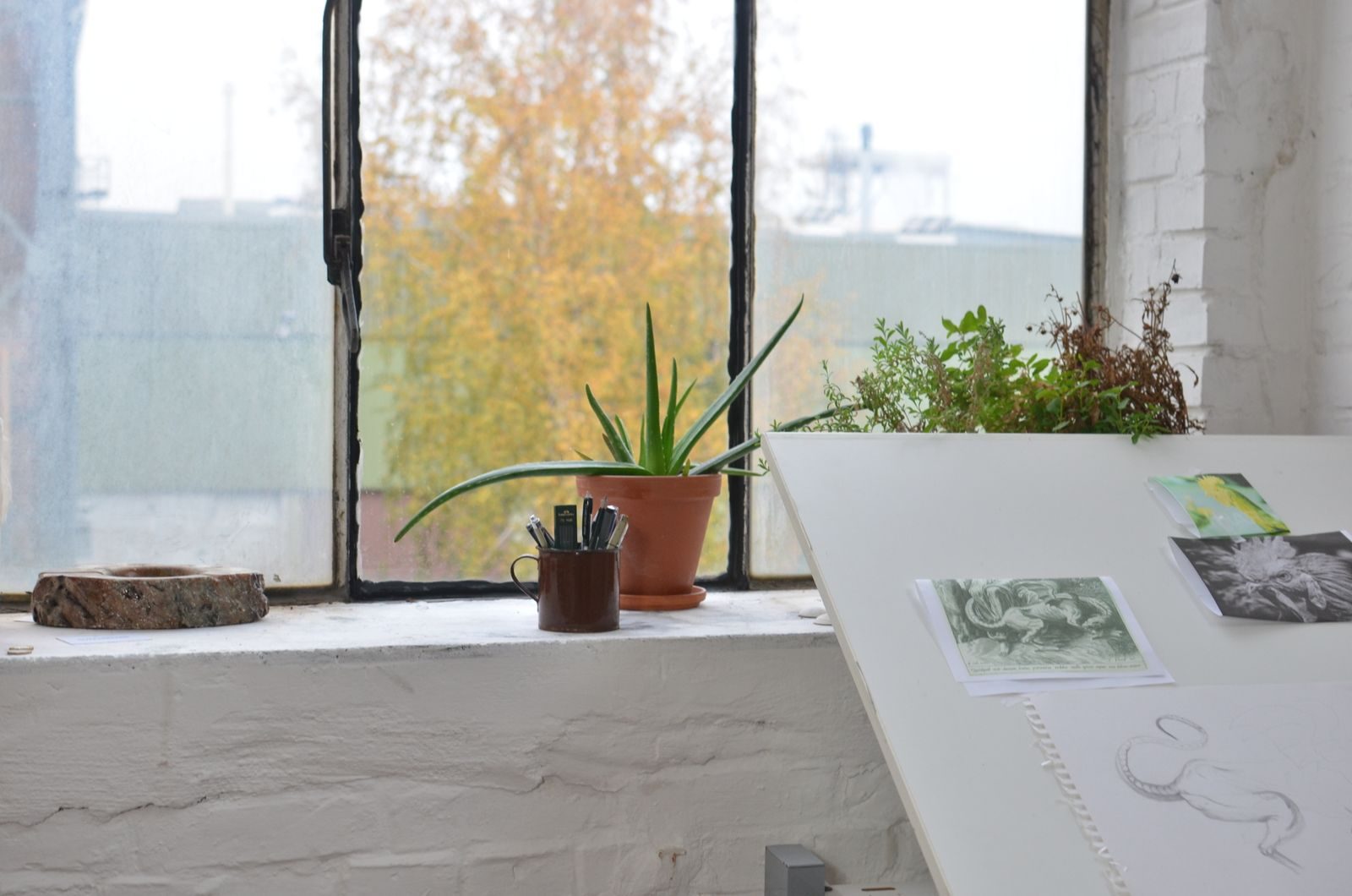 Ateliê de arte com plantas verdes perto de mesa com imagens e esboço