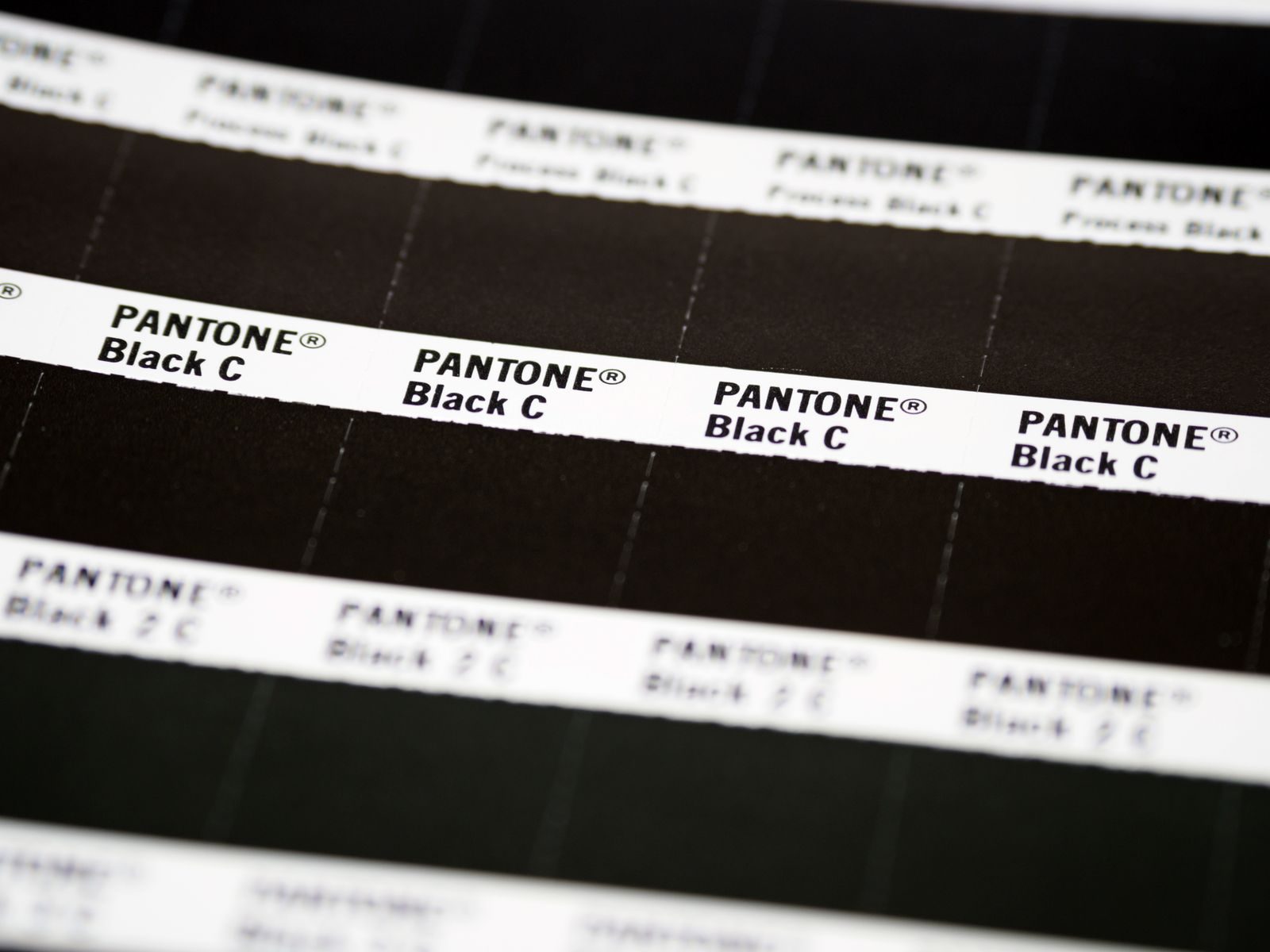 Close de folha de amostras Pantone Black C com vários tons