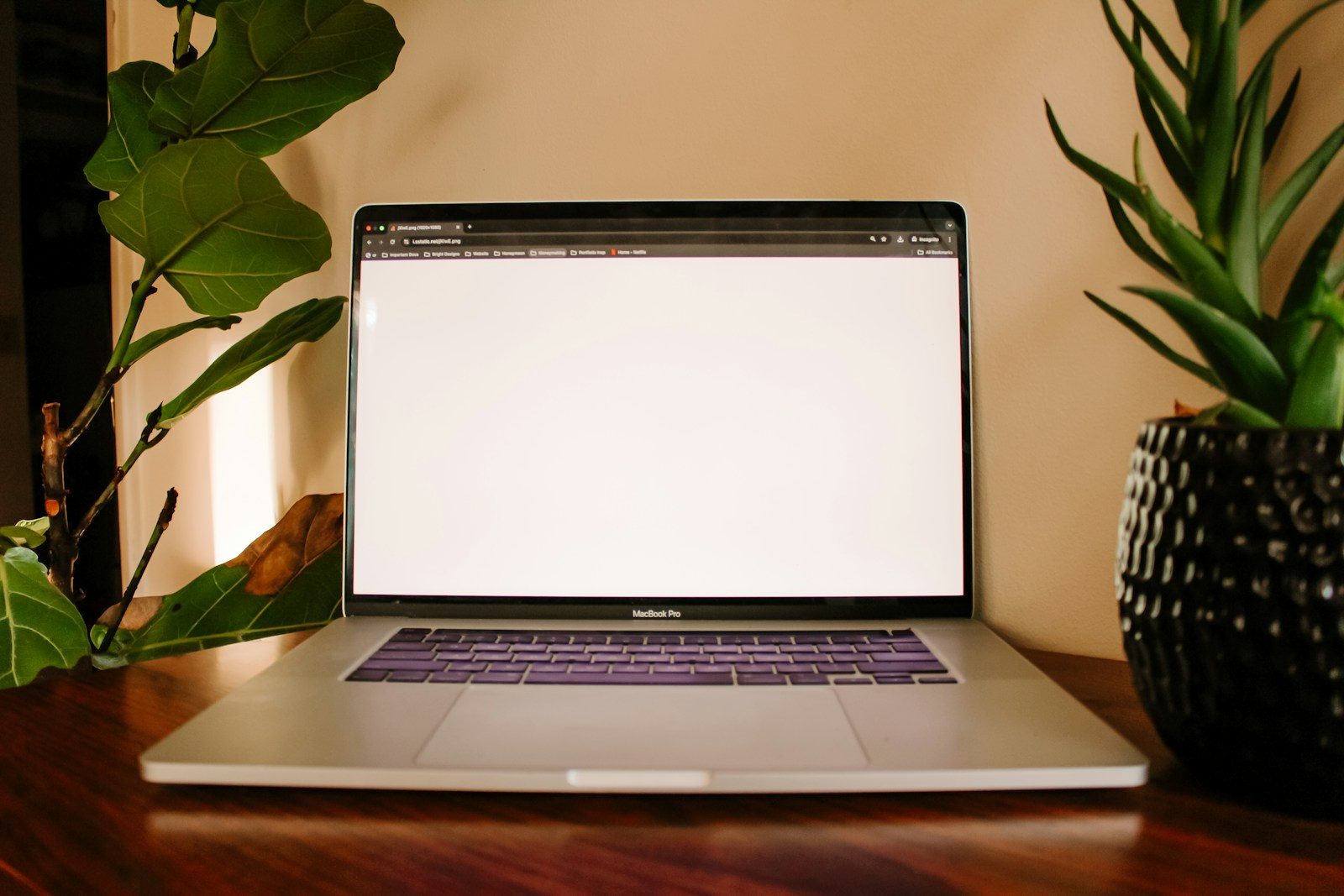 Notebook perto de plantas sobre uma mesa de madeira