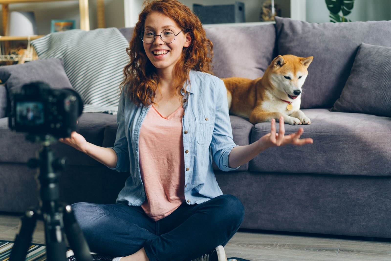 Mulher sorridente grava vlog com seu cachorro Shiba Inu no sofá de uma sala aconchegante