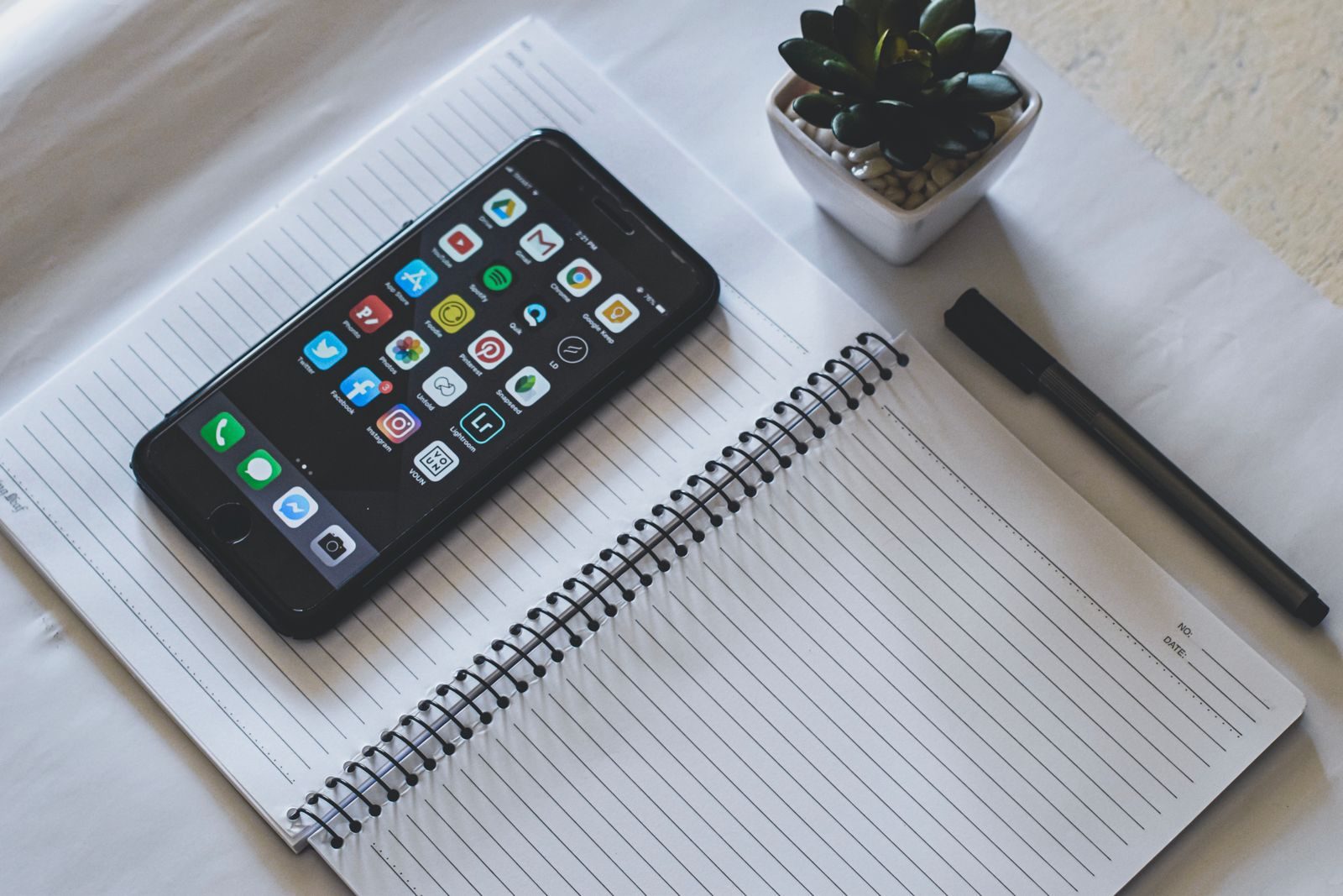 Flat lay com smartphone sobre caderno espiral ao lado de suculenta e caneta