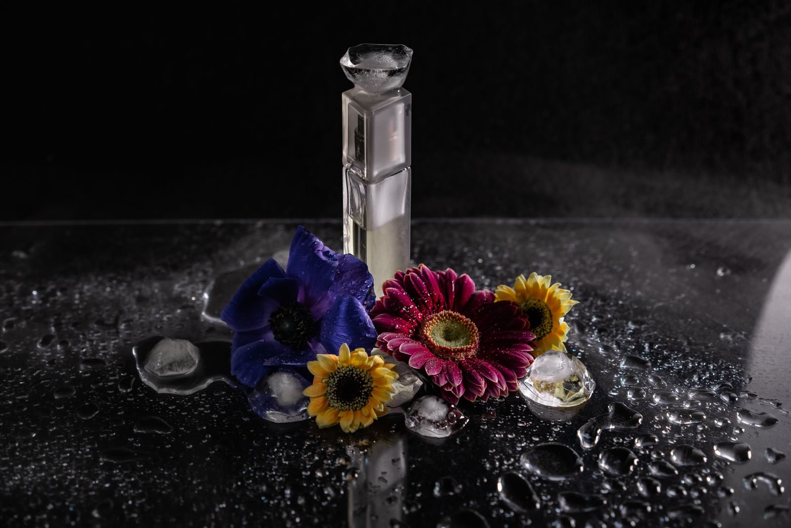 Frasco de perfume elegante cercado por flores vibrantes e gotas d'água em estúdio