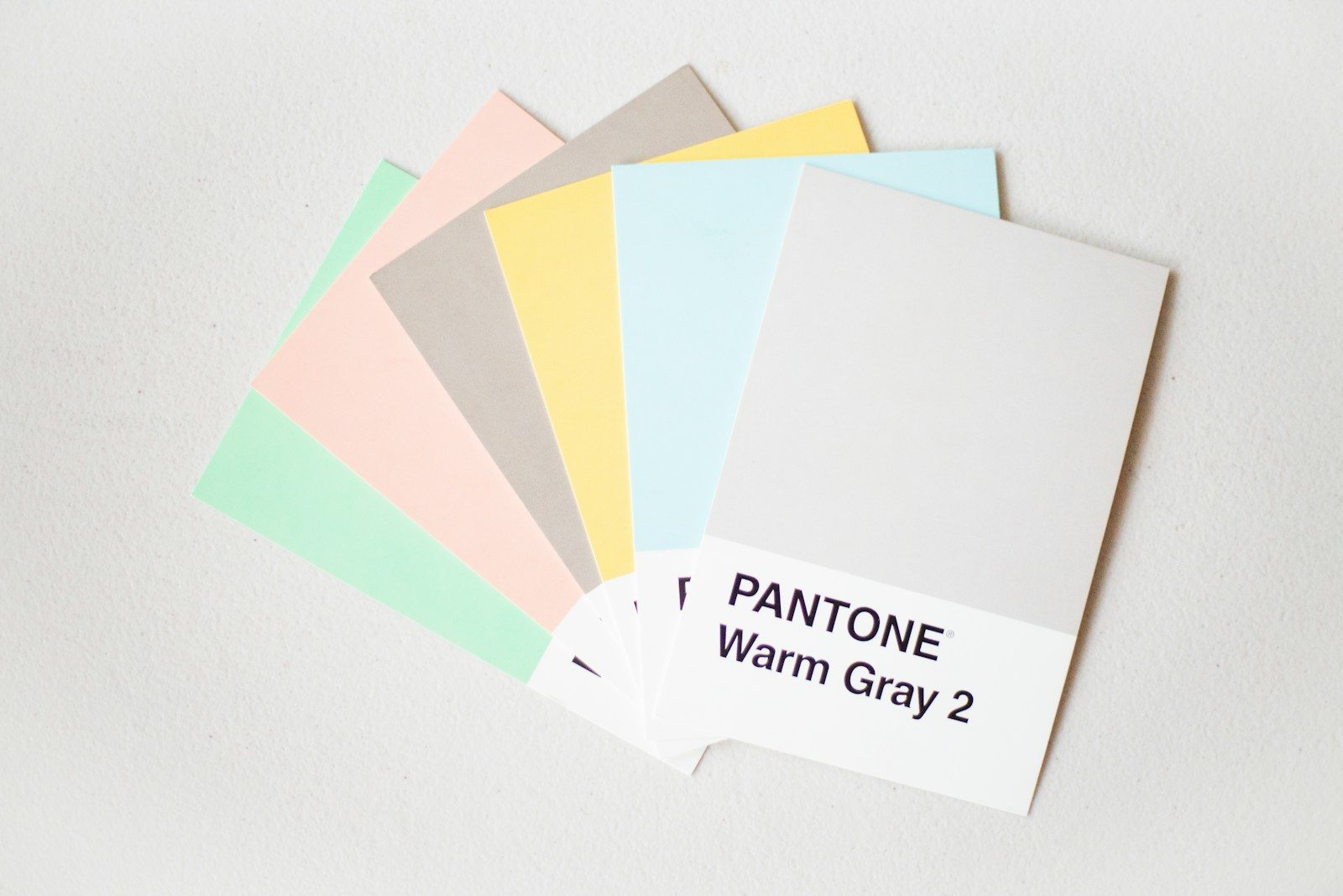 Amostras Pantone em tons de cinza quente sobre fundo branco