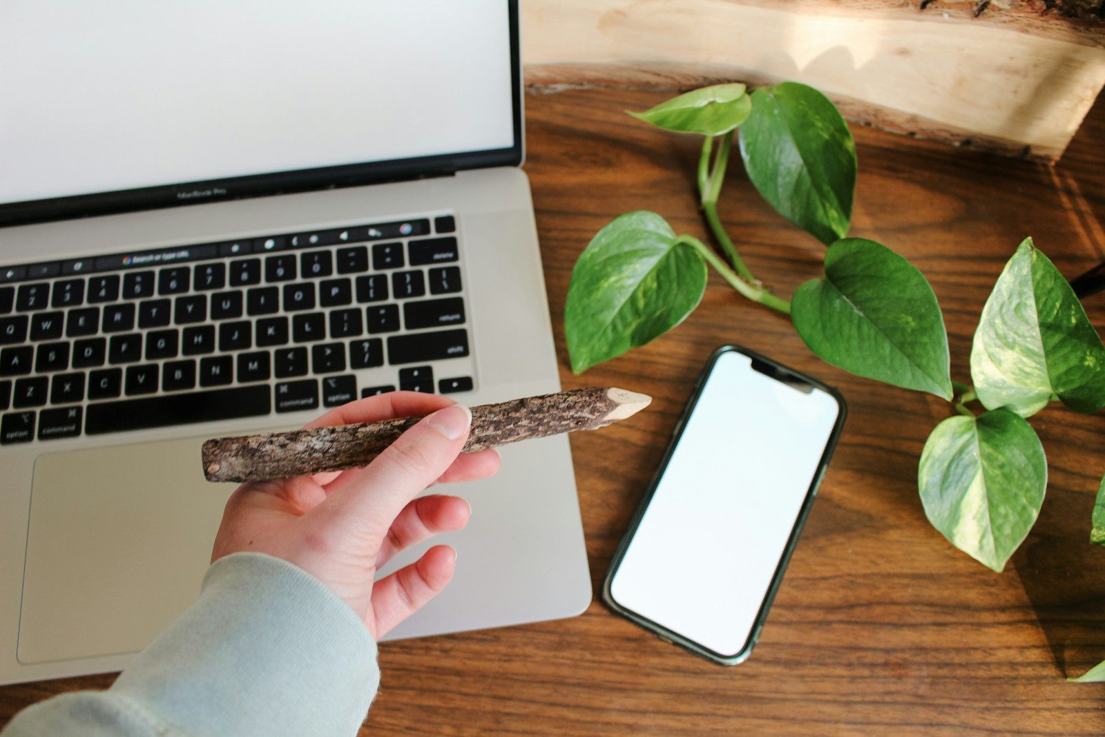 Notebook, celular, planta e um lápis rústico